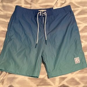Men’s American Eagle Swim Short / Boardshort